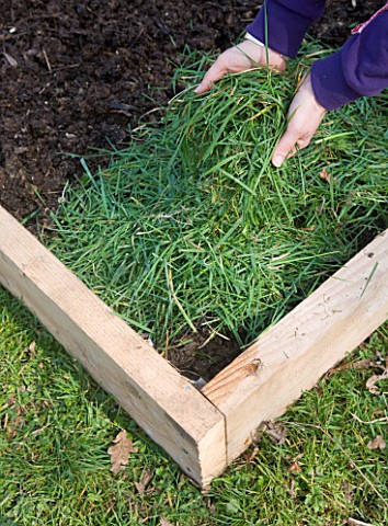 DESIGNER_CLARE_MATTHEWS_POTAGER_PROJECT__DEEP_BED_MULCHING__LAWN_CLIPPINGS_LAID_OVER_COMPOST_LAID_OV