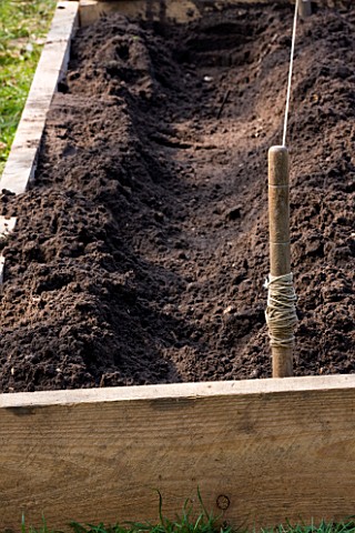 DESIGNER_CLARE_MATTHEWS_POTAGER_PROJECT__CHANNEL_DUG_OUT_OF_SOIL_READY_FOR_ASPARAGUS_PLANTING