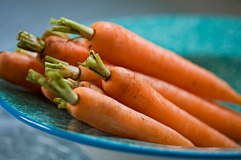 DESIGNER_CLARE_MATTHEWS__CLOSE_UP_OF_RAW_ORANGE_CARROTS_IN_A_BLUE_BOWL_EDIBLE__VEGETABLE__FOOD