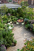 ROSE GRAY AND SCULPTOR DAVID MACILWAINE: VIEW DOWN ONTO THE DECKED ROOF TERRACE/ ROOF GARDEN WITH PLANTS IN CONTAINERS - ROSEMARY  TULIP WHITE TRIUMPHATOR : TABLE AND GREEN CHAIRS