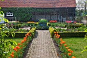 ULTING WICK  ESSEX  SPRING: THE CUTTING GARDEN WITH BRICK PATH SURROUNDED BY TULIP BALLERINA  TULIPS IN BOX EDGED BEDS  COPPER CONTAINER PLANTED WITH TULIP QUEEN OF NIGHT