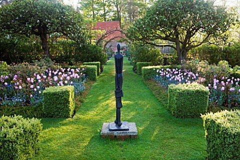 PASHLEY_MANOR_GARDEN__EAST_SUSSEX__SPRING__THE_BOX_GARDEN_PLANTED_WITH_THE_PINK_FLOWERS_OF_TULIP_PIN