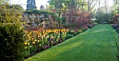 PASHLEY MANOR GARDEN  EAST SUSSEX  SPRING : EARLY MORNING LIGHT ON A LONG BORDER FILLED WITH TULIPS BESIDE WALL