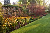 PASHLEY MANOR GARDEN  EAST SUSSEX  SPRING : EARLY MORNING LIGHT ON A LONG BORDER FILLED WITH TULIPS BESIDE WALL
