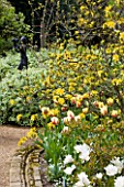 PASHLEY MANOR GARDEN  EAST SUSSEX  SPRING :PATH THROUGH WOODLAND WITH YELLOW AND RED TULIP WORLD EXPRESSION  YELLOW AZALEA AND SCULPTURE JOYFUL MOTHER BY MARY COX