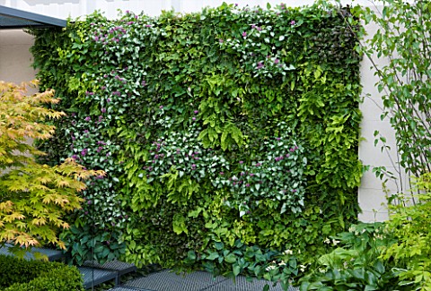 CHELSEA_FLOWER_SHOW_2009_ECO_CHIC_URBAN_GARDEN_BY_KATE_GOULD_SPONSORED_BY_HELIOS_LIVING_WALL_WITH_FE