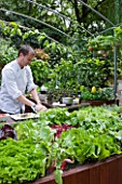 CHELSEA FLOWER SHOW 2009:  FRESHLY PREPPED GARDEN BY ARALIA. CHEF ANDREW NUTTER PREPARES FOOD IN OUTDOOR KITCHEN USING SALAD LEAVES AND HERBS FROM EDIBLE LIVING WALL