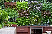 CHELSEA FLOWER SHOW 2009:  FRESHLY PREPPED GARDEN BY ARALIA. STONE SINK IN OUTDOOR KITCHEN WITH EDIBLE LIVING WALL PLANTED WITH BABY SALAD LEAVES