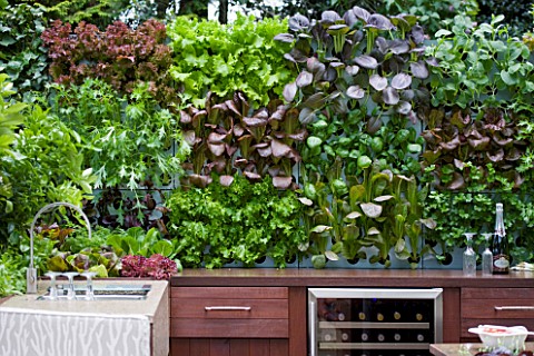 CHELSEA_FLOWER_SHOW_2009__FRESHLY_PREPPED_GARDEN_BY_ARALIA_STONE_SINK_IN_OUTDOOR_KITCHEN_WITH_EDIBLE