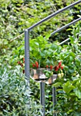 CHELSEA FLOWER SHOW 2009: FRESHLY PREPPED GARDEN BY ARALIA. OUTDOOR KITCHEN WITH COLANDERS USED AS HANGING BASKETS PLANTED WITH STRAWBERRIES