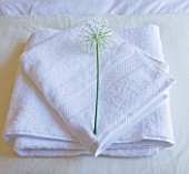 DESIGNER: CLAIRE SKINNER  ROU ESTATE  CORFU: HOUSE INTERIOR - BEDROOM WITH FOLDED TOWELS AND ALLIUM