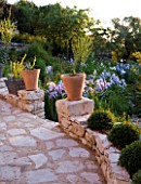 THE ROU ESTATE  CORFU: PATH WITH GATE  TERRACOTTA CONTAINERS PLANTED WITH AGAVES AND IRISES IN MORNING LIGHT