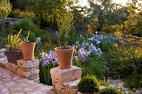 THE_ROU_ESTATE__CORFU_PATH_WITH_GATE__TERRACOTTA_CONTAINERS_PLANTED_WITH_AGAVES_AND_IRISES_IN_MORNIN