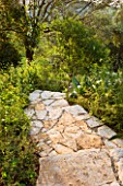 THE ROU ESTATE  CORFU: PATH THROUGH WOODLAND WITH WILDFLOWERS - ACANTHUS SPINOSUS