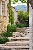 THE ROU ESTATE  CORFU: STONE STEPS UP OUT OF THE CENTRE OF THE VILLAGE