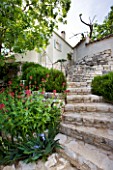 THE ROU ESTATE  CORFU: STONE STEPS LEADING UP HILL PAST CENTRANTHUS RUBER AND ROSEMARY