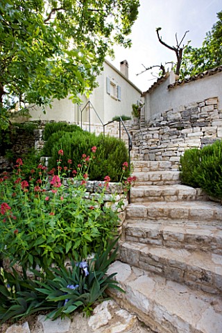 THE_ROU_ESTATE__CORFU_STONE_STEPS_LEADING_UP_HILL_PAST_CENTRANTHUS_RUBER_AND_ROSEMARY