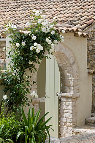 THE_ROU_ESTATE__CORFU_STONE_ARCH_COVERED_WITH_ICEBERG_ROSE