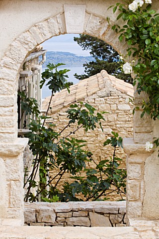 THE_ROU_ESTATE__CORFU_ICEBERG_ROSE_ON_ARCH_WITH_FIG_BEHIND