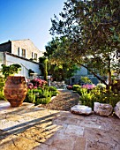 THE ROU ESTATE  CORFU: STONE TERRACE WITH OLIVE TREE AND GRAVEL PATH WITH DROUGHT-TOLERANT PLANTING
