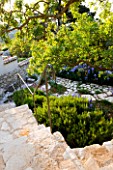 THE ROU ESTATE  CORFU: TERRACED STONE STEPS WITH DECORATIVE METAL RAILING WITH ROSEMARY AND IRISES