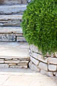 THE ROU ESTATE  CORFU: STONE STEPS WITH CLIPPED ROSEMARY