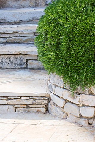 THE_ROU_ESTATE__CORFU_STONE_STEPS_WITH_CLIPPED_ROSEMARY