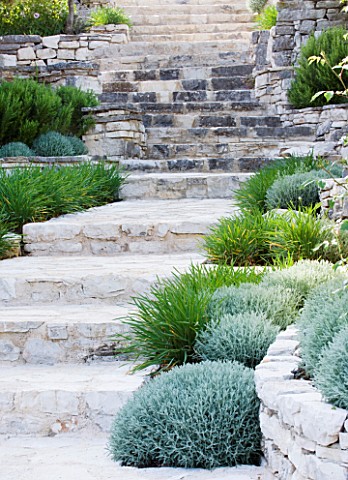 THE_ROU_ESTATE__CORFU_STONE_STEPS_WITH_PROSTRATE_ROSEMARY_AND_CLIPPED_SANTOLINA