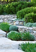 THE ROU ESTATE  CORFU: TIERED STONE TERRACE WITH PROSTRATE ROSEMARY AND CLIPPED SANTOLINA