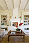 THE ROU ESTATE  CORFU: SITTING ROOM/LIVING AREA WITH RAISED FIREPLACE AND BOOKSHELVES