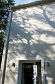 THE KAPARELLI ESTATE  CORFU - DETAIL OF TREE REFLECTED ONTO HOUSE WALL