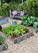 DESIGNER: CLARE MATTHEWS - ORGANIC VEGETABLE GARDEN/ POTAGER PROJECT  DEVON: VIEW OF THE POTAGER/ VEGETABLE GARDEN IN JUNE WITH WOODEN BENCH  CUSHIONS   RAISED BEDS  GRAVEL
