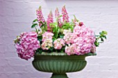 PAULA PRYKES HOUSE  SUFFOLK: OUTDOOR FLORAL ARRANGEMENT OF PINK LUPINS AND HYDRANGEAS IN GREEN URN/CONTAINER