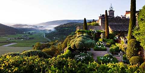 LA_CARMEJANE_FRANCE_LUBERON_PROVENCE_CLIPPED_OLIVE_TREES_ON_TERRACE_MIST_IN_VALLEY_BELOW_FRENCH_COUN