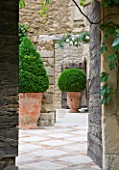 LA CARMEJANE, FRANCE: LUBERON, PROVENCE, TERRACE, PATIO WITH TERRACOTTA CONTAINERS, BOX, BUXUS, CLIPPED, TOPIARY, FRENCH, COUNTRY, GARDEN