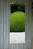 LE CLOS PASCAL  MENERBES  FRANCE - VIEW THROUGH THE GARDEN GATE TO CLIPPED TOPIARY BALL IN COURTYARD