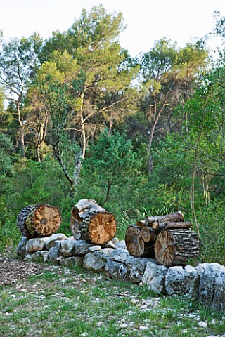JACQUELINE_MORABITO__FRANCE__HUGE_LOGS_PILED_ON_STONE_WALL_TO_MAKE_A_SCULPTURE