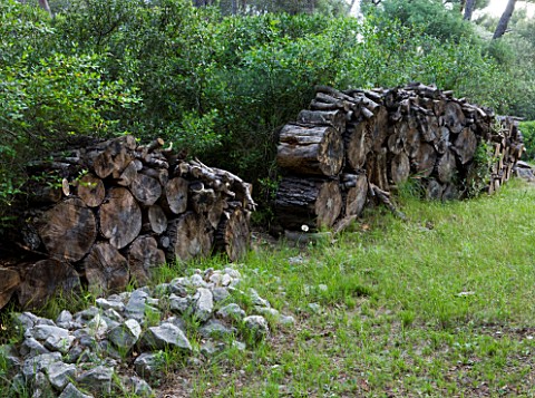 JACQUELINE_MORABITO__FRANCE__HUGE_LOGS_PILED_TOGETHER_AS_A_WALL_SCULPTURE