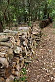 JACQUELINE MORABITO  FRANCE - HUGE LOGS PILED TOGETHER TO MAKE A WALL IN THE WOODLAND