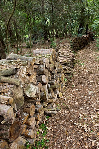 JACQUELINE_MORABITO__FRANCE__HUGE_LOGS_PILED_TOGETHER_TO_MAKE_A_WALL_IN_THE_WOODLAND