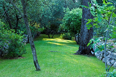 JACQUELINE_MORABITO__FRANCE__LAWN_ENCLOSED_BY_STONE_WALLS_IN_THE_WOODLAND