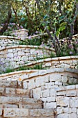 CORFU  GREECE: DESIGNER: DOMINIC SKINNER - MEDITTERANEAN STYLE GARDEN  - STONE STEPS AND WALL WITH TULBAGHIA VIOLACEA AND OLIVES