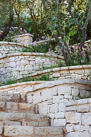 CORFU__GREECE_DESIGNER_DOMINIC_SKINNER__MEDITTERANEAN_STYLE_GARDEN___STONE_STEPS_AND_WALL_WITH_TULBA