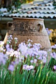 CORFU  GREECE: DESIGNER: DOMINIC SKINNER - MEDITTERANEAN STYLE GARDEN  - TULBAGHIA VIOLACEA AND TERRACOTTA CONTAINER