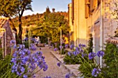 THE ROU ESTATE  CORFU  GREECE: DESIGNER: DOMINIC SKINNER - MEDITTERANEAN STYLE GARDEN - GRAVEL PATH AND AGAPANTHUS AT WITH PERGOLA AND WELL IN BACKGROUND