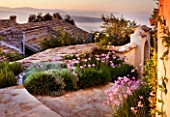 THE ROU ESTATE  CORFU  GREECE: DESIGNER: DOMINIC SKINNER - MEDITTERANEAN STYLE GARDEN - PATH THROUGH VILLAGE WITH TULBAGHIA VIOLACEA AND MOUNTAINS OF ALBANIA IN THE BACKGROUND