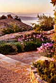 THE ROU ESTATE  CORFU  GREECE: DESIGNER: DOMINIC SKINNER - MEDITTERANEAN STYLE GARDEN - PATH THROUGH VILLAGE WITH TULBAGHIA VIOLACEA AND MOUNTAINS OF ALBANIA IN THE BACKGROUND