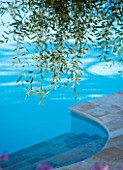 CORFU  GREECE: DESIGNER: DOMINIC SKINNER - SWIMMING POOL WITH OVERHANGING BRANCHES OF OLIVE TREE