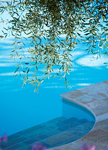 CORFU__GREECE_DESIGNER_DOMINIC_SKINNER__SWIMMING_POOL_WITH_OVERHANGING_BRANCHES_OF_OLIVE_TREE