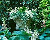 SHADE: WHITE THEMED STONE URN PLANTED WITH MARGUERITES  HELICHRYSUM AND NICOTIANA LIME GREEN.  DESIGNER: ANTHONY NOEL